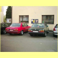 DSCI0384.JPG