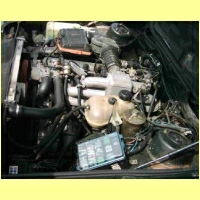 DSCI0433.JPG