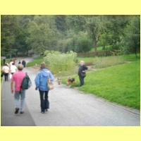 DSCI0232.jpg